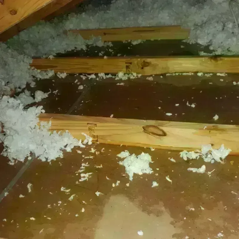 Attic Water Damage in Staunton, IL