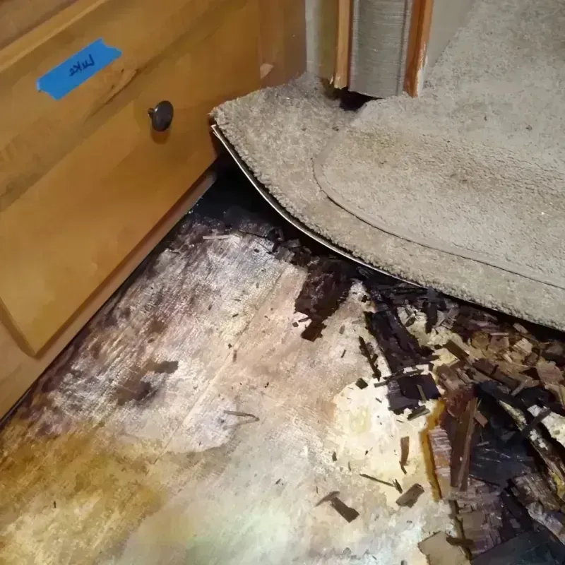 Wood Floor Water Damage in Staunton, IL